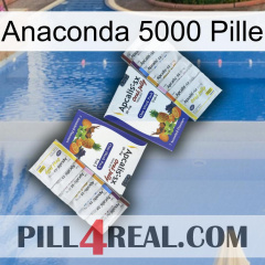 Anaconda 5000 Pill 12